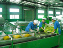 四川中央手机看片福利视频設備廠家詳解中央手机看片福利视频的分區要自己設計注意事項